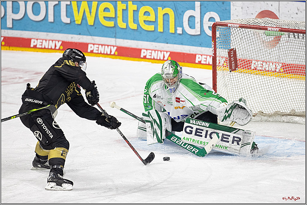 PENNY DEL;  Koelner Haie - Bietigheim Steelers; Koeln, 05.03.2023